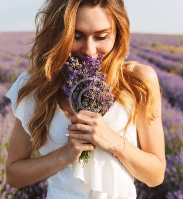 image3-rtv-copyright